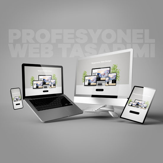 Profesyonel Web Tasarım Hizmetleri